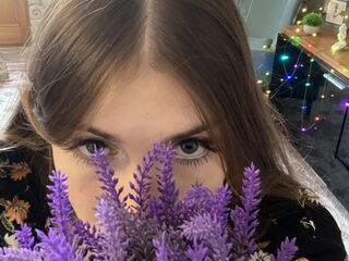 live webcam BrimladFieldhous