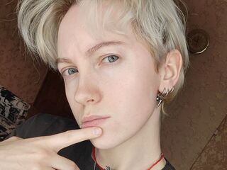 chat room free VelvetSpark